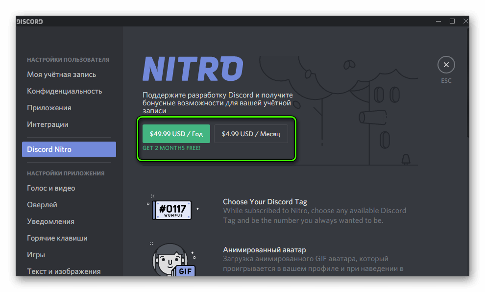 Выбор подписки Discord Nitro